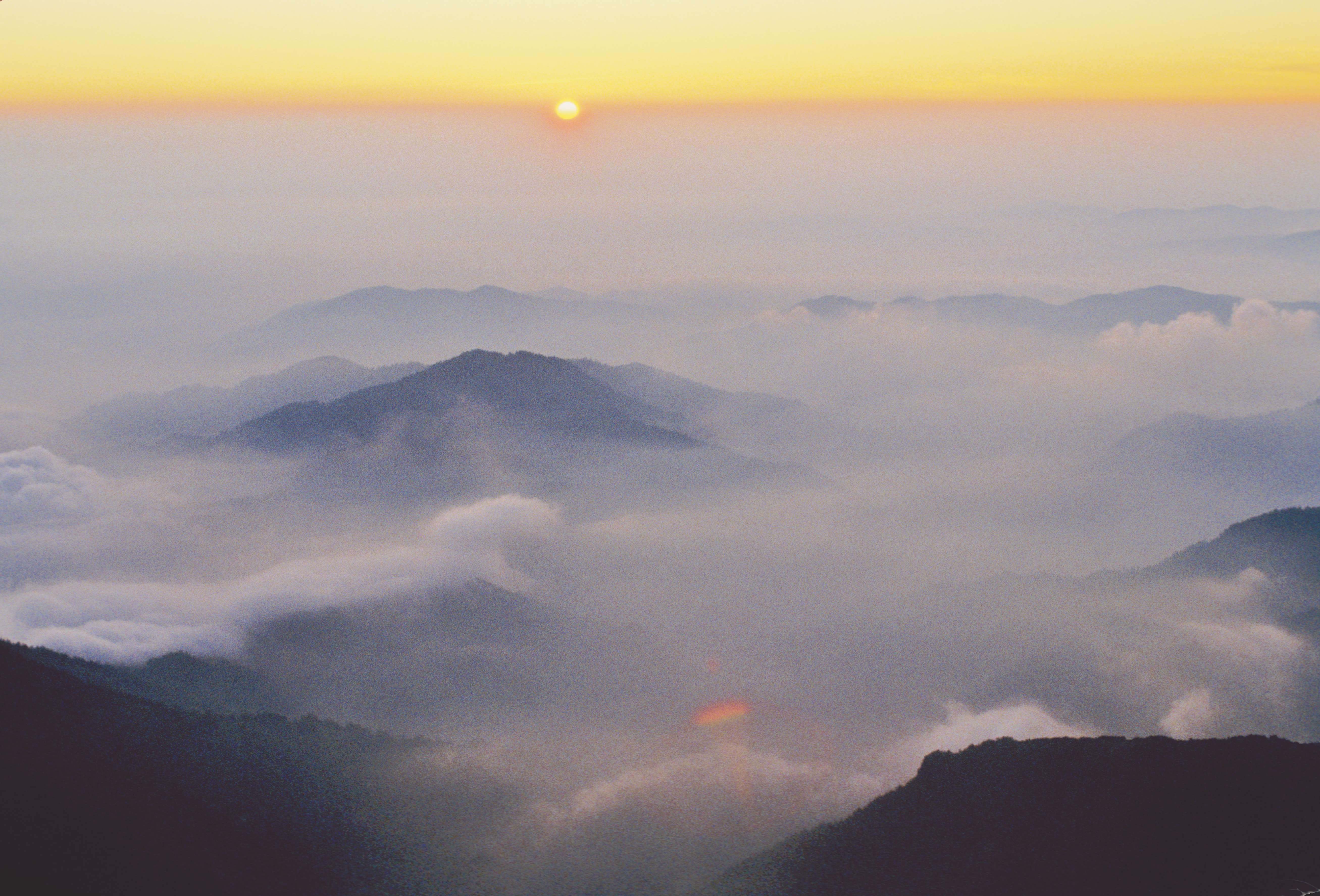 朝の雲海と山並み