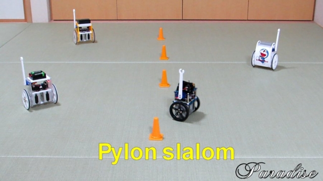 Pylon _slalom