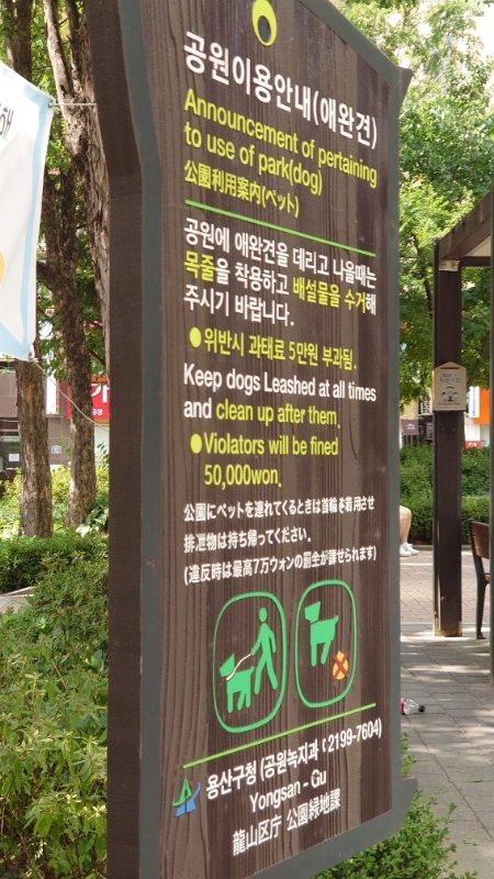 二村,カニ公園,韓国