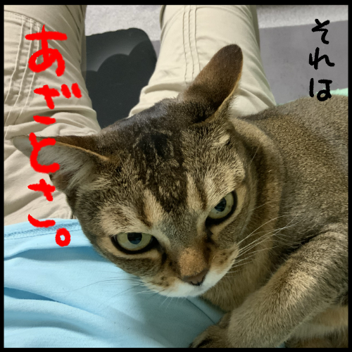変化3