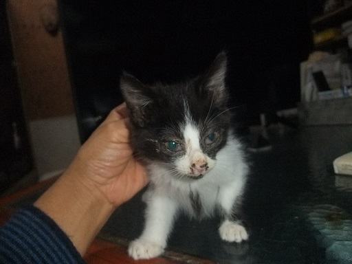 DSCF5694.jpg