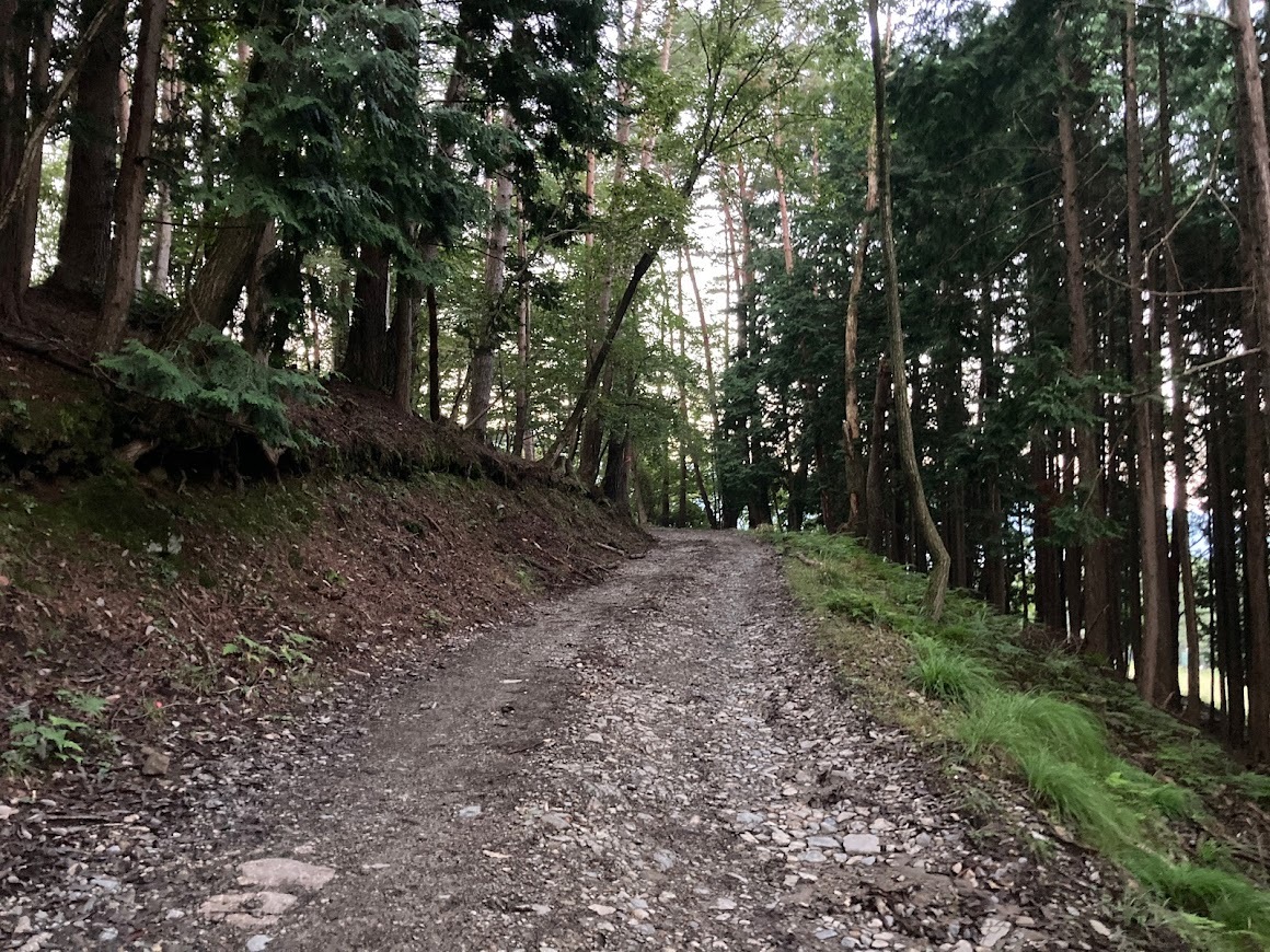 2021三室山/林道歩き