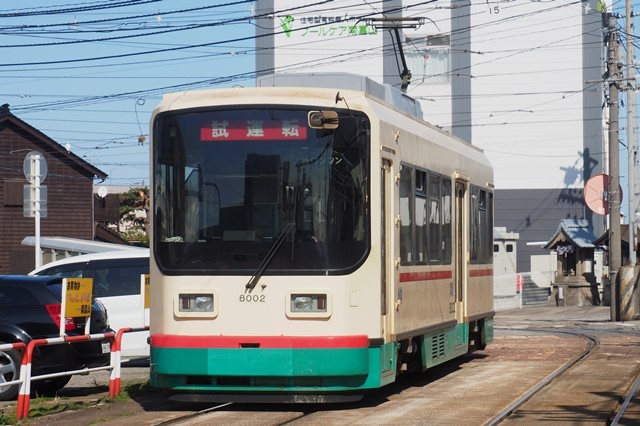 マスキングテープ ピンバッジ mt 富山地方鉄道 レア ライト