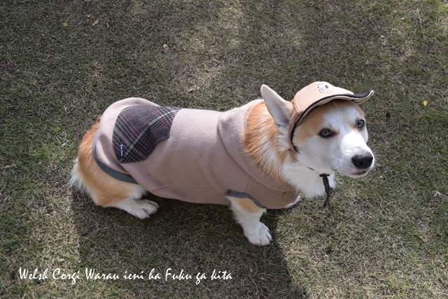 お洋服