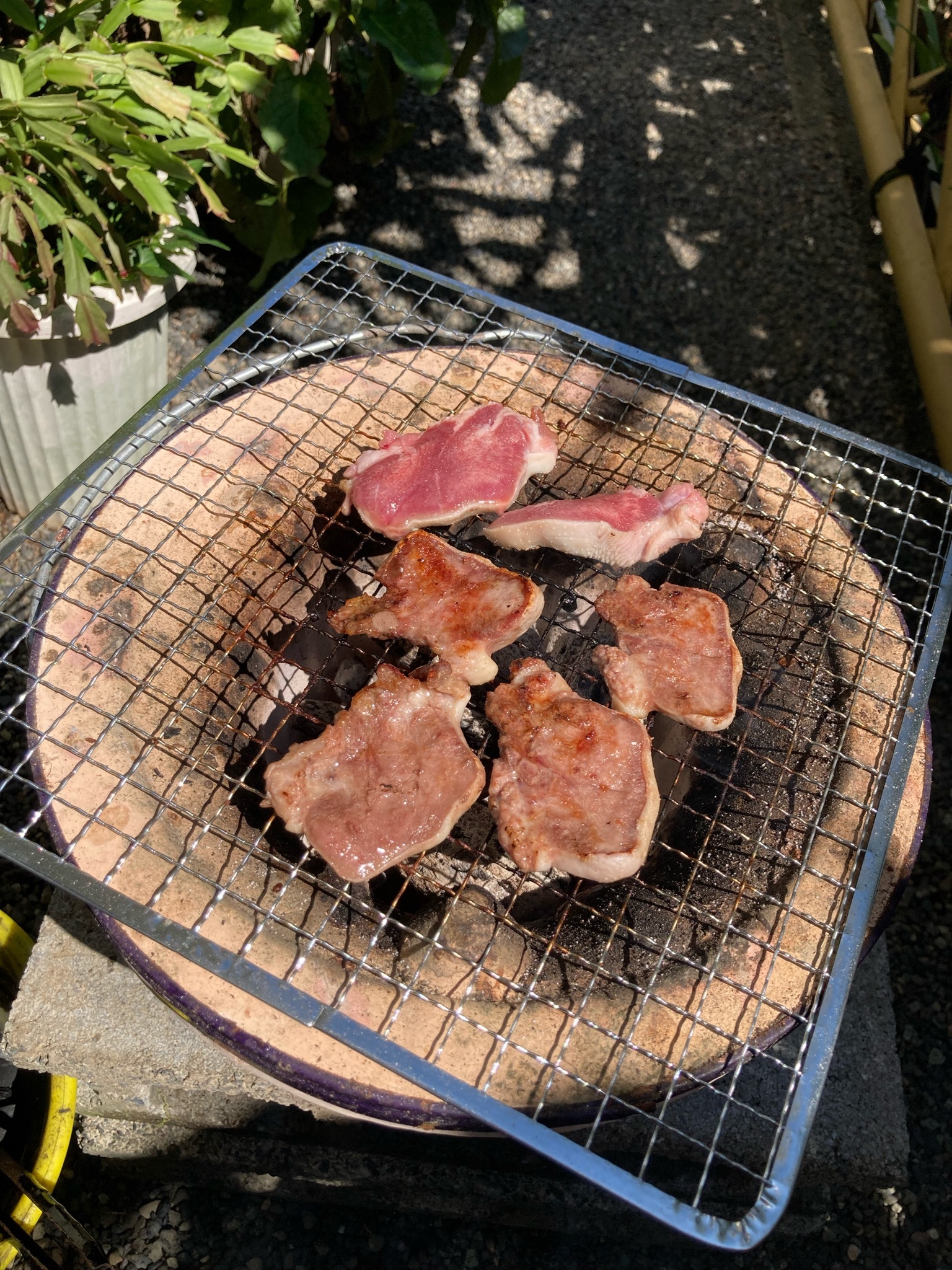 豚タン