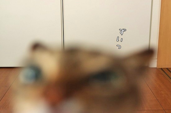 210611-002.jpg