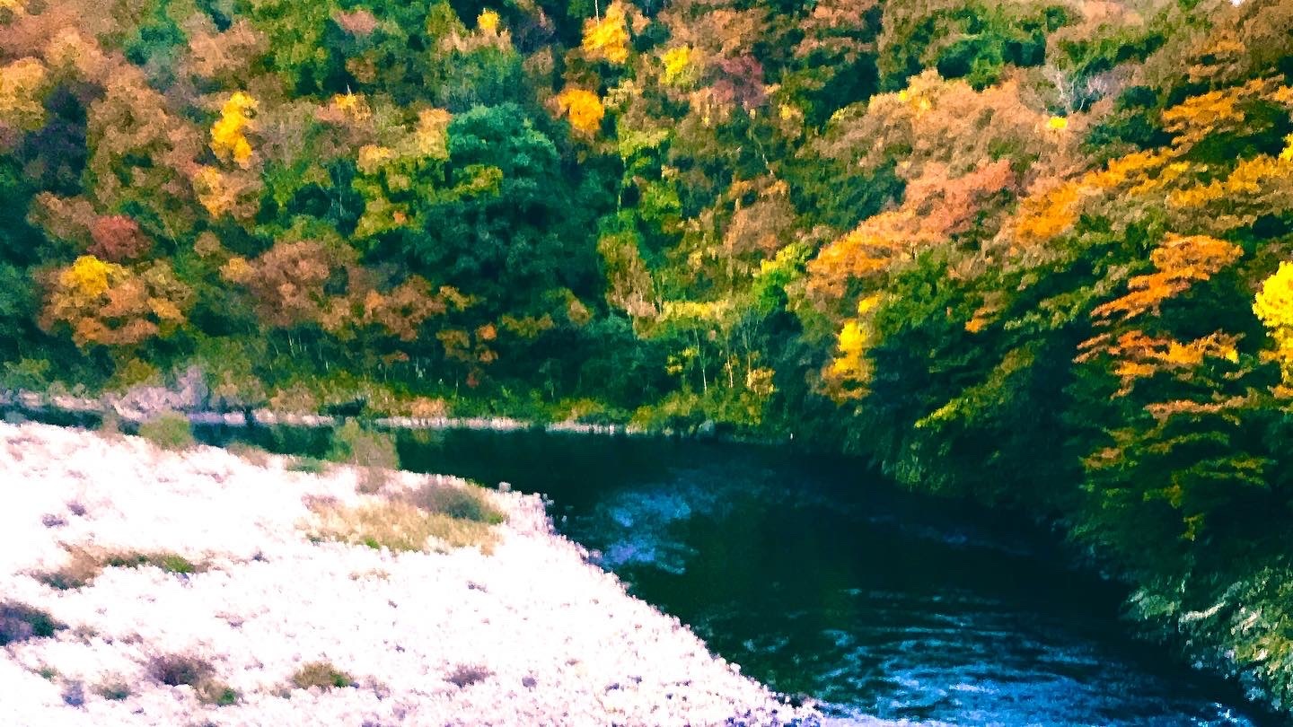 関川村の荒川峡1