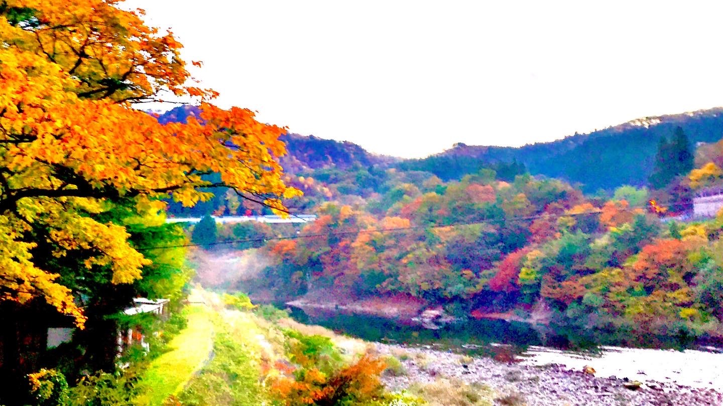 関川村の荒川峡2