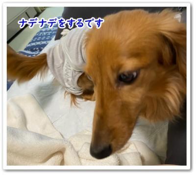 IMG_6250_convert_20210818102742.jpg