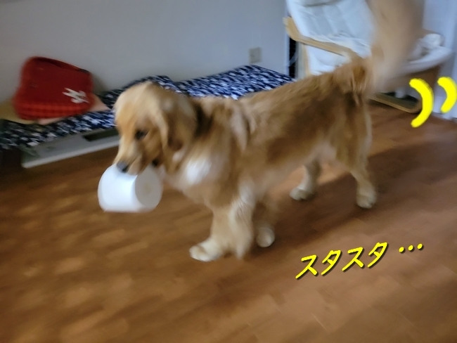0070620.jpg