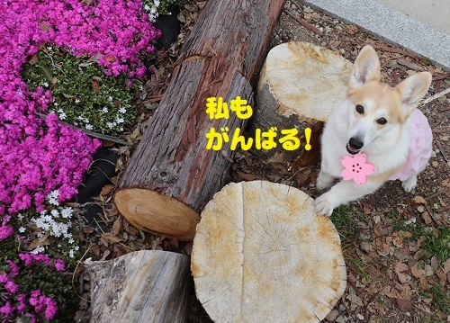 53私も