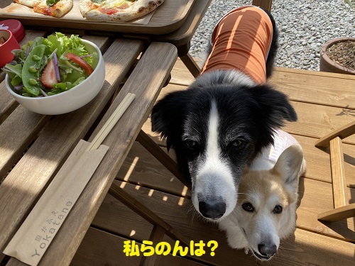 9私らのは