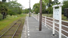 21042542.jpg