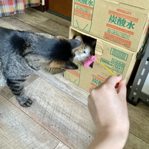 20210625100346738.jpeg