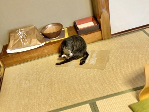 202110112001154bd.jpeg